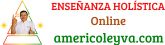 Enseñanza Holística